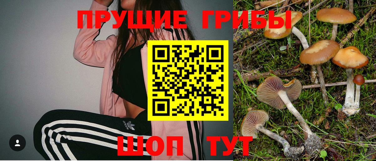 Галлюциногенные грибы Magic Shrooms Новокубанск