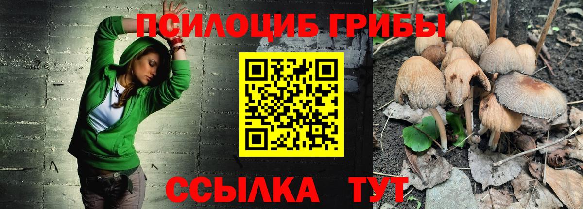 Псилоцибиновые грибы мицелий  Вход с VPN  Новокубанск 